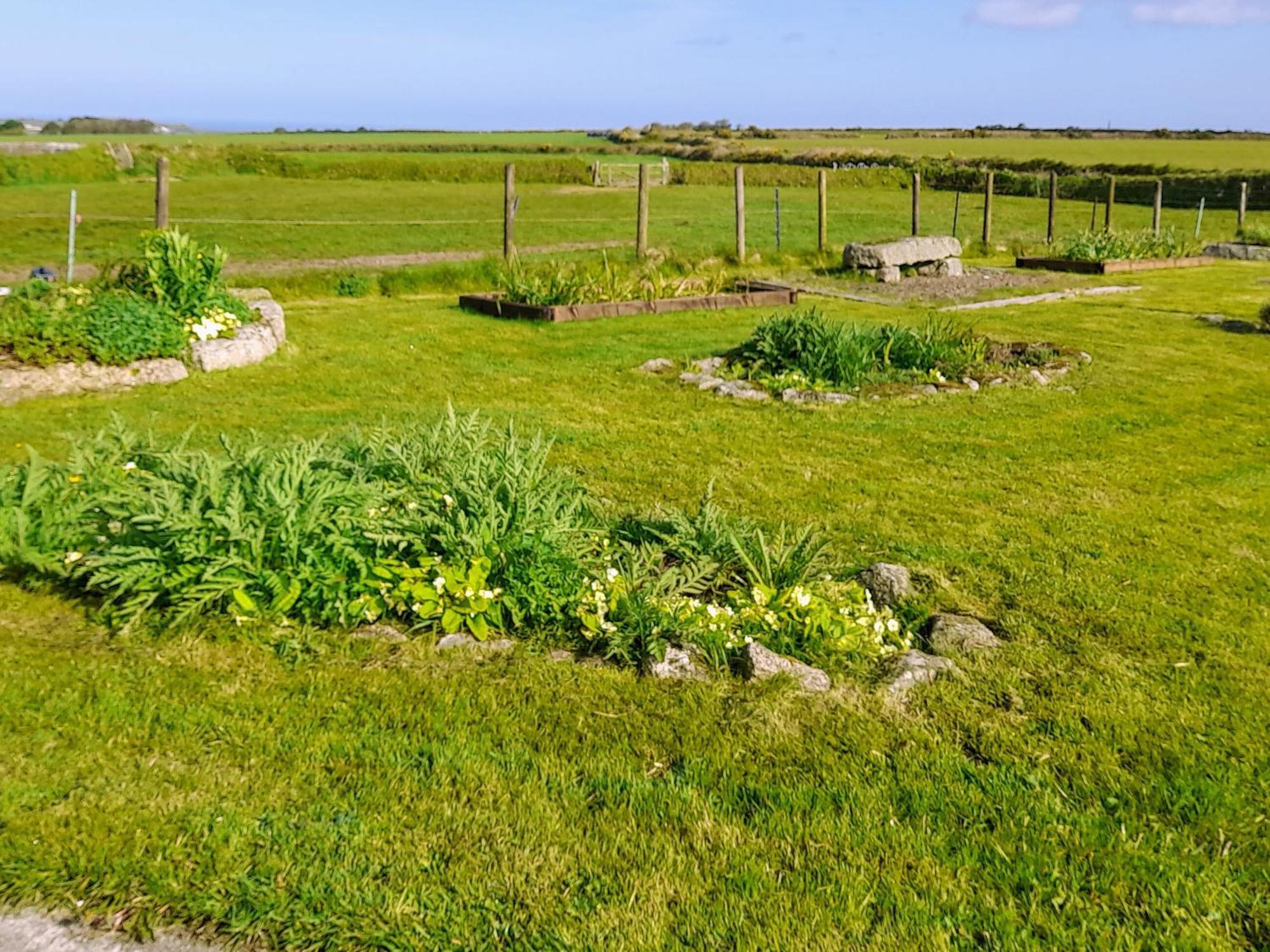 Ash Tree Cottage Carnbrea Dış mekan fotoğraf